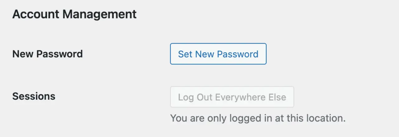 Account Management Section - Set New Password Button