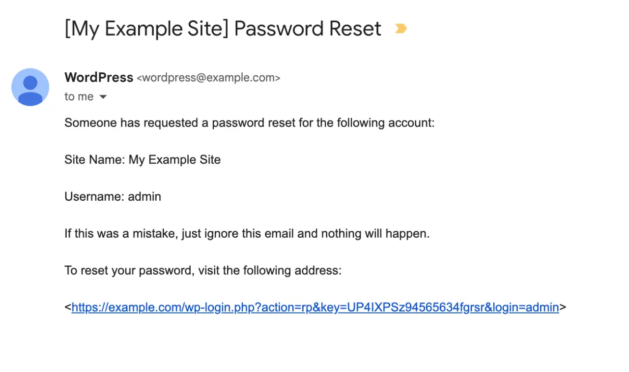 An Example of the Password Reset Email