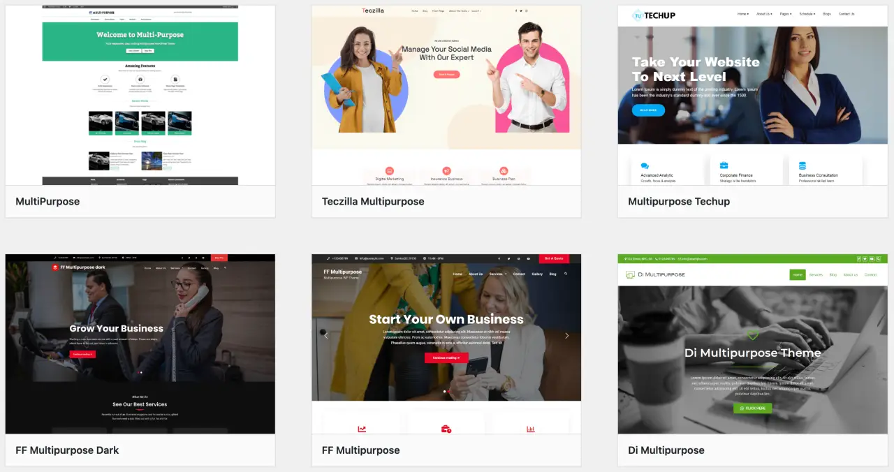 Examples of Multipurpose Themes