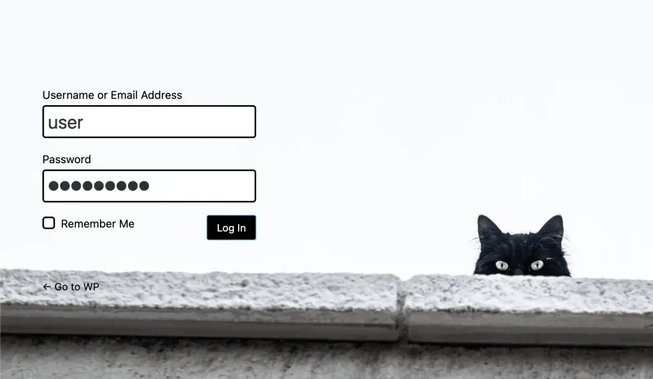 Login page with cat in background