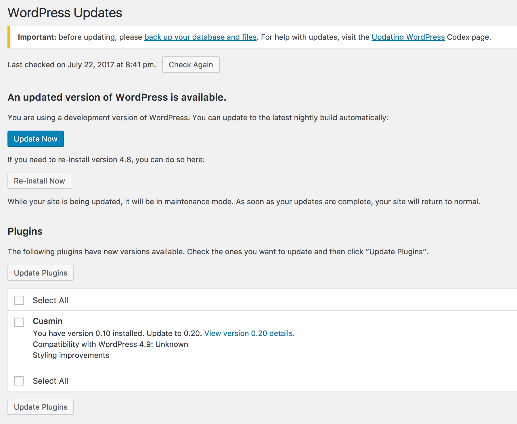 WordPress Updates page showing Cusmin update option